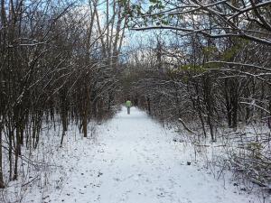 woman walks down snow covered path surrounded by trees