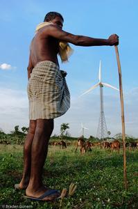 Shepherd in India with windmill and goats