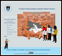 Course image for Probing Professionalism Towards Positive Practice